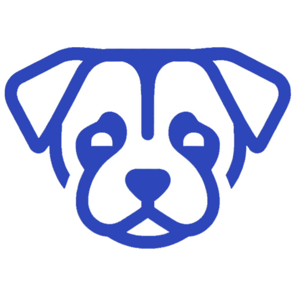 shela.ai